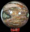 Colorful Petrified Wood Sphere #49766-1